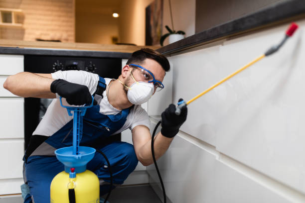  Rhinelander, WI Pest Control Pros