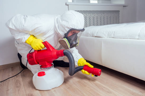 Best Best Pest Control Companies  in Rhinelander, WI