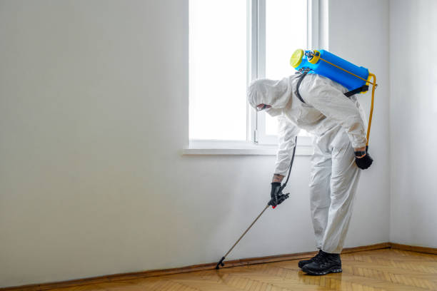 Best Pest Control Near Me  in Rhinelander, WI