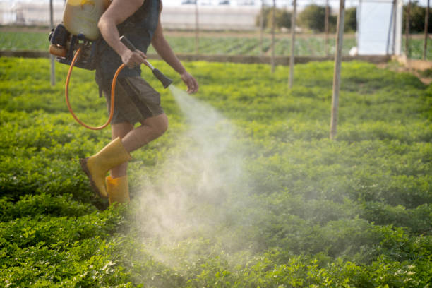 Best Affordable Pest Control Services  in Rhinelander, WI