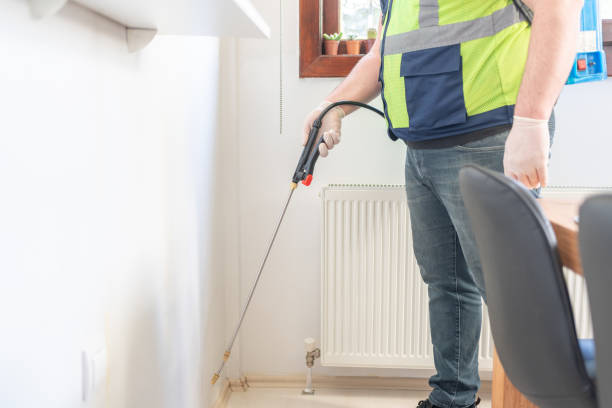 Best Exterminator Services  in Rhinelander, WI