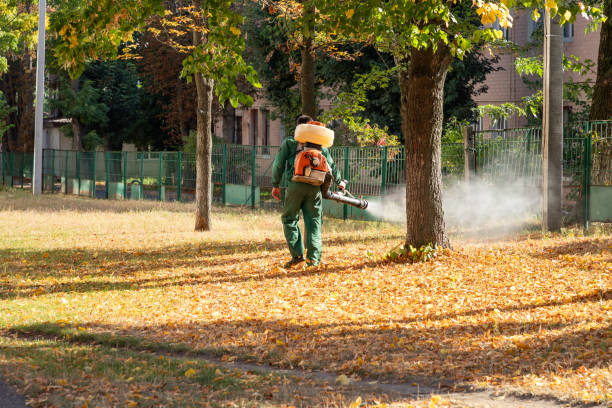 Pest Control Cost in Rhinelander, WI