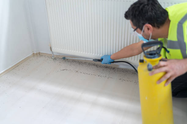 Best Commercial Pest Control Services  in Rhinelander, WI