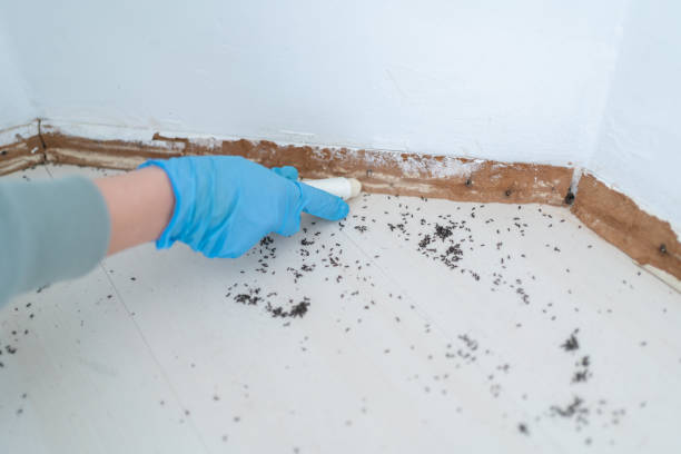 Pest Control Cost in Rhinelander, WI