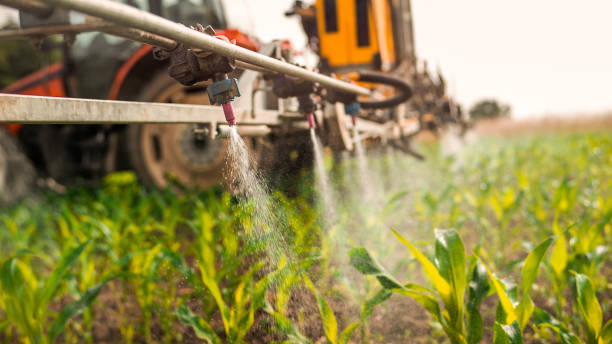 Best Pest Removal Services  in Rhinelander, WI